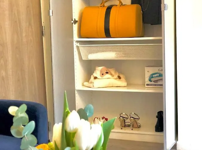 Life Renaissance - New Concept - Place Kléber