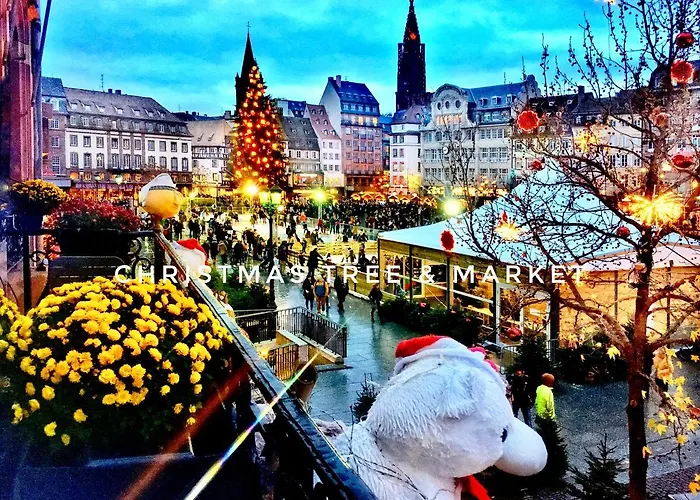 Life Renaissance - New Concept - Place Kléber Appartement *